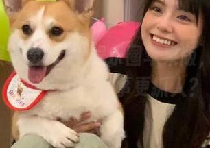 718娱乐圈苹果版，竟然比我前男友的故事更抓人？