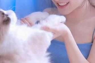 吃瓜不打烊的黑料入口，调皮得让我忍不住想说话。