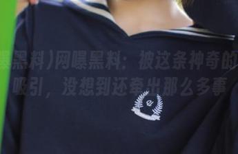 网曝黑料：被这条神奇的线路吸引，没想到还牵出那么多事