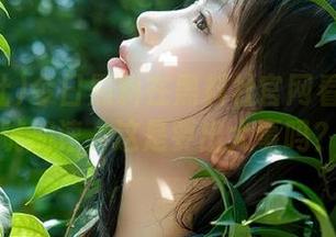 今日黑料在黑料社官网看得我心跳加速，这是要出大事吗？