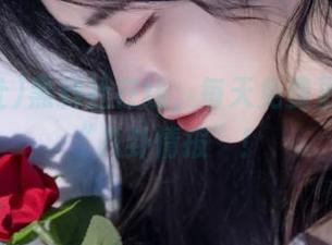 黑料社在线，每天免费更新你的“八卦情报”！