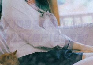 明明是黑料社区的app，结果却找到了国产1区的宝藏？